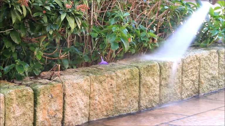 Stone Rejuvenation, Consolidation & Protection